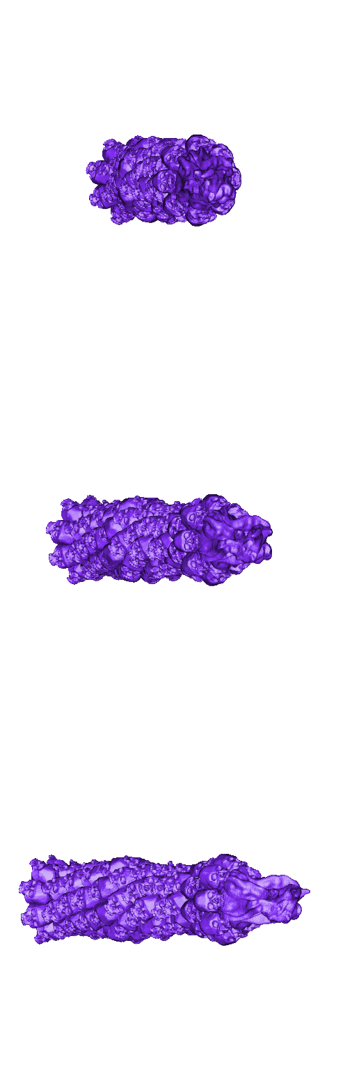 SkullBrazier_Tall_A_OnePiece.stl Skull Plinths/Braziers