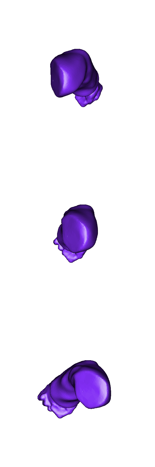 left_arm_v5.stl Men-at-arms Miniatures (new version)